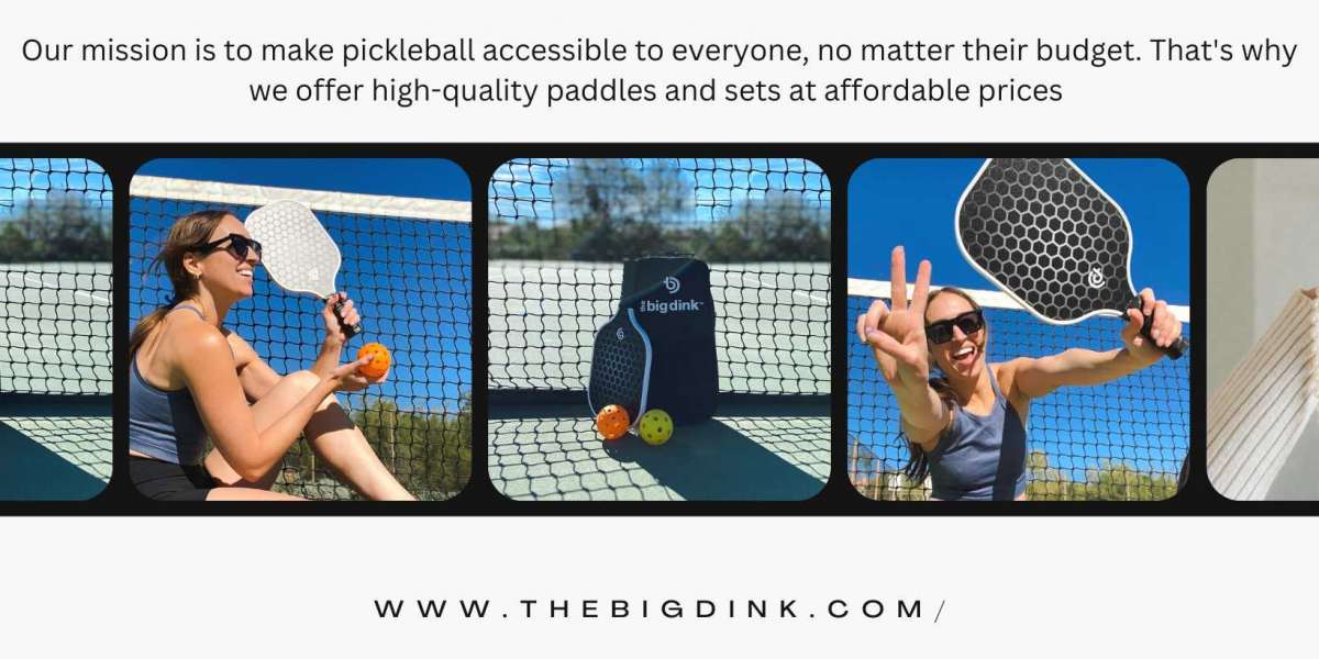 Pickleball paddle set