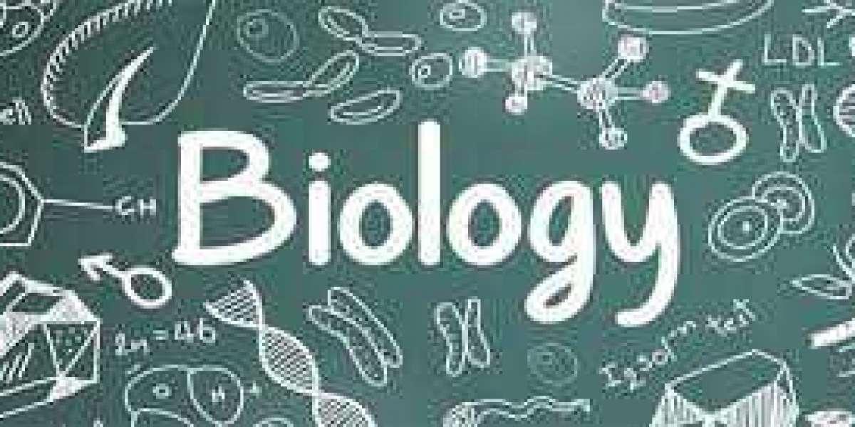 Biology Assignment Help to Ace Your Exams with Confidence