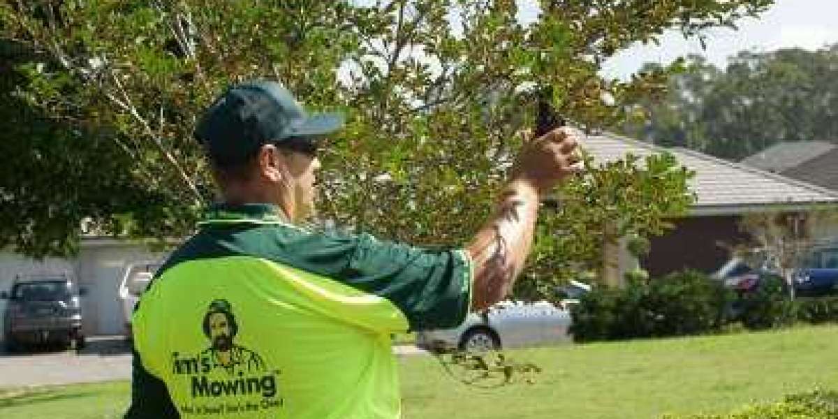 DE-STRESS YOURSELF AND HIRE PROFESSIONALS FOR LAWN MOWING