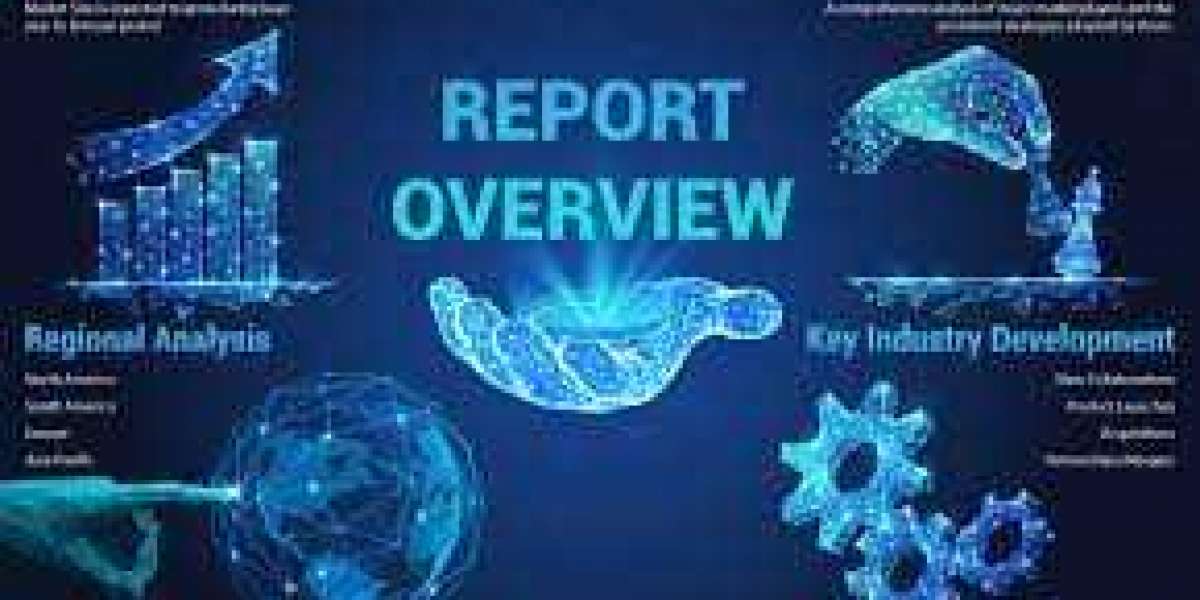 Biomethane Market Size Analysis and Growth Opportunities in 2029
