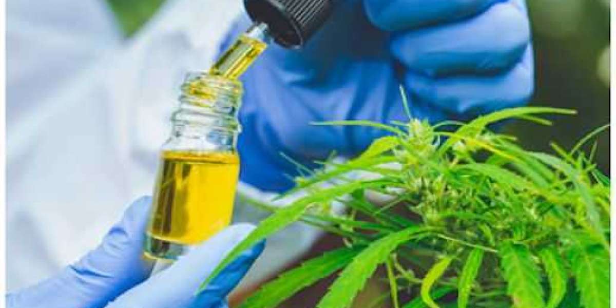 Cannabis Testing Market growth projection to 11.9% CAGR through 2030