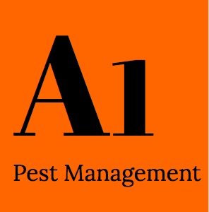 Termite Treatment Brisbane North - A1 Pest Management