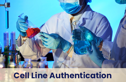 Cell Line Authentication Test: Confirming Accuracy in Scientific Research!