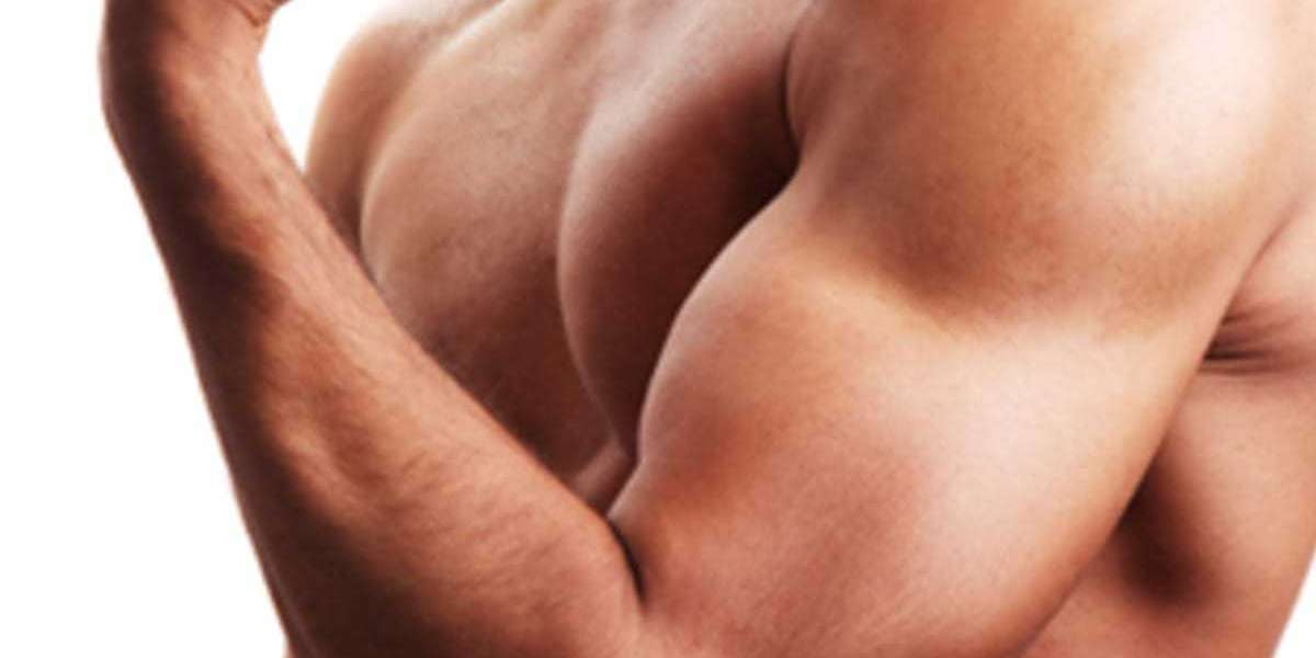 How to Gain Muscle in and Outside the Gym