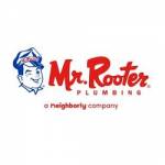 mr rooter Profile Picture