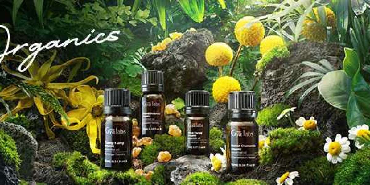 Finding Organic Essential Oils Near Me: The Gyalabs Experience