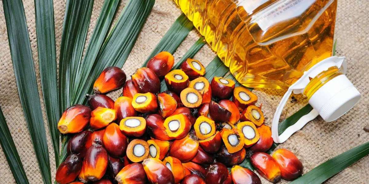 Which is Better Rice Bran Oil or Palm Oil for Home?