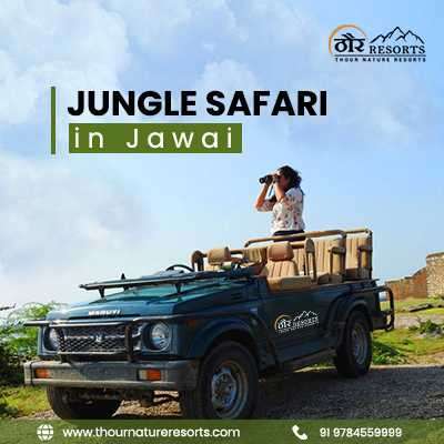 Best Jawai Jungle Safari Provider in Jawai Bandh, Rajasthan Profile Picture