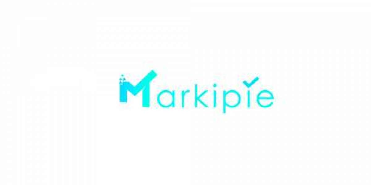 Best Digital Marketing Services in Delhi - MarkiPie