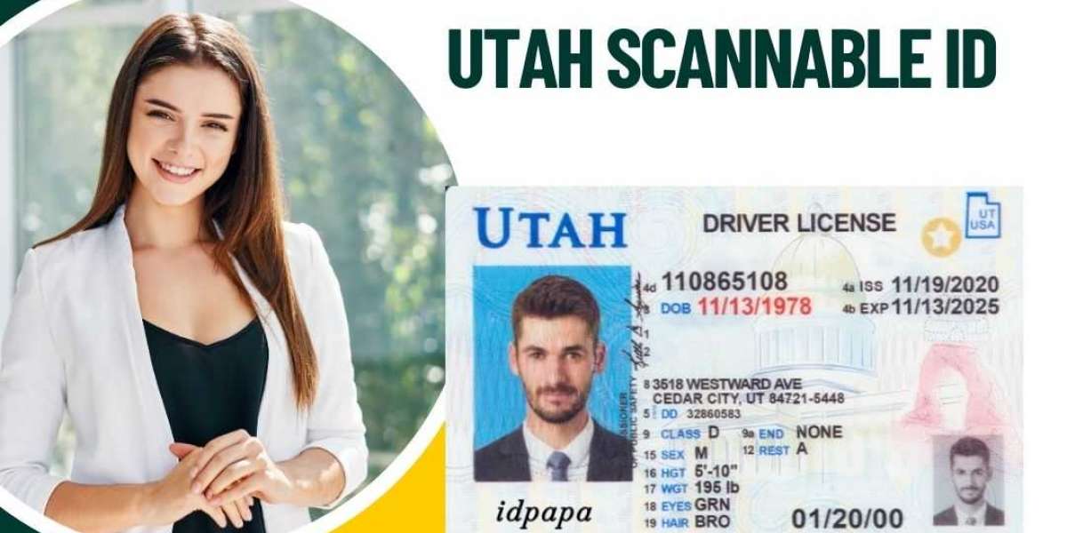 Navigate with Precision: Buy the Best Scannable Driver License from IDPAPA