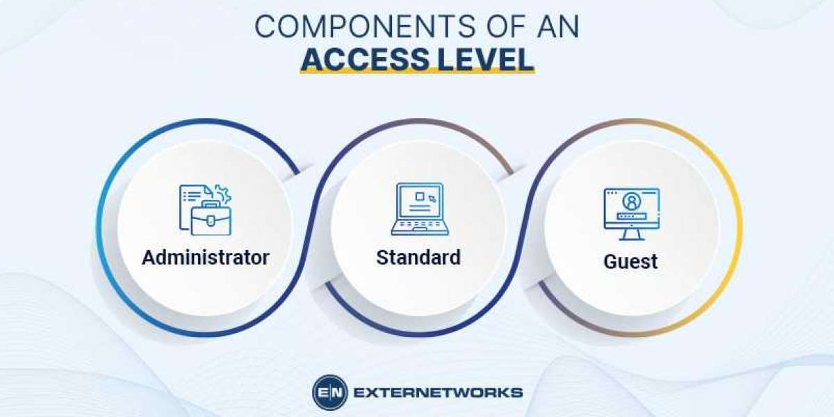 Types of access levels in computer security?