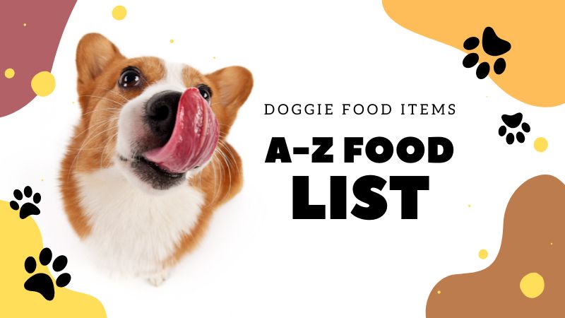 List of Foods Can be Fed to Dog, A-z List of Foods - Doggie Food Items