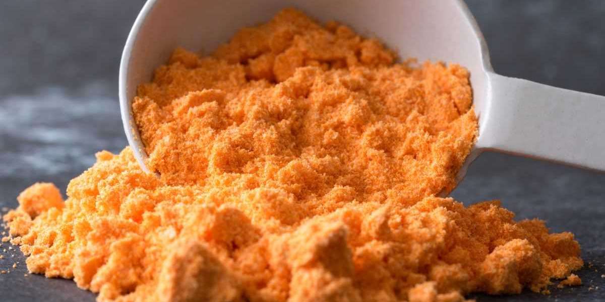 A Comprehensive Exploration of The Global Cheese Powder Market Size, Share, Growth and Analysis 2024-2032