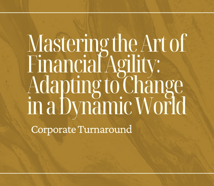 Mastering the Art of Financial Agility: Adapting to Change in a Dynamic World | by Corporate Turnaround | Feb, 2024 | Medium