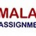 Malaysia Assignment Helper Profile Picture