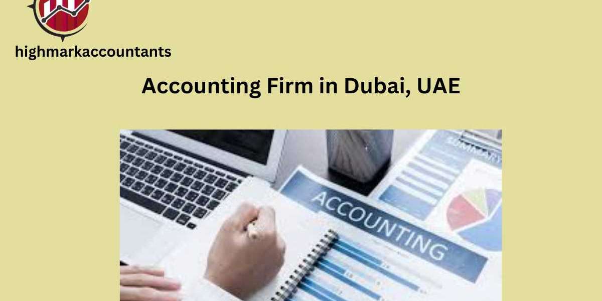 Excellence in Audit Services: Your Trusted Partner in Dubai UAE