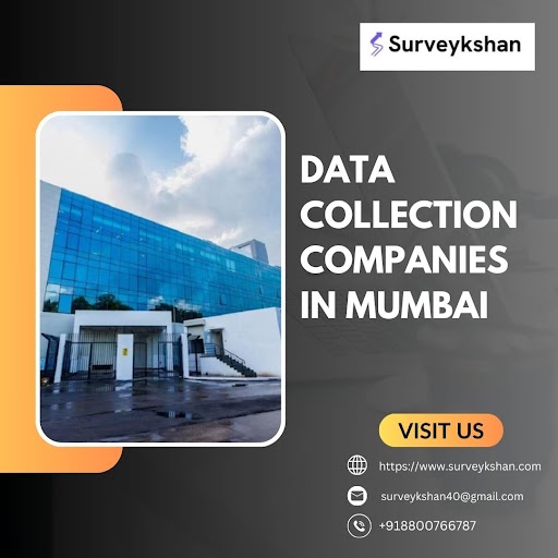 Unveiling Mumbai's Data Collection Companies: Navigating the Information Landscape - WriteUpCafe.com