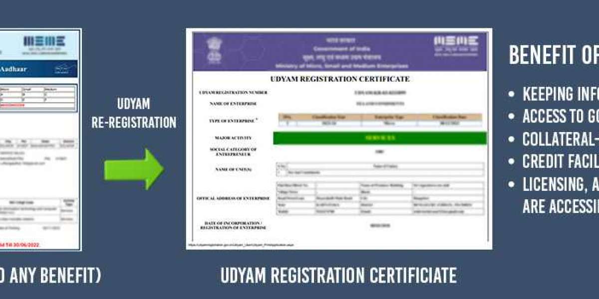 Udyam Registration for MSMEs in India: 2024 Guide to Unlocking Growth