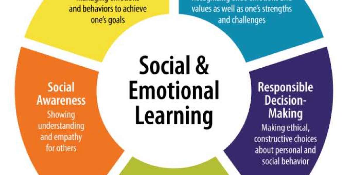 Japan Social and Emotional Learning Market Share, Growth, Forecast 2024-32