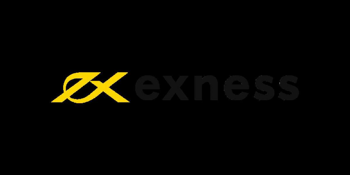 Exness Account Types
