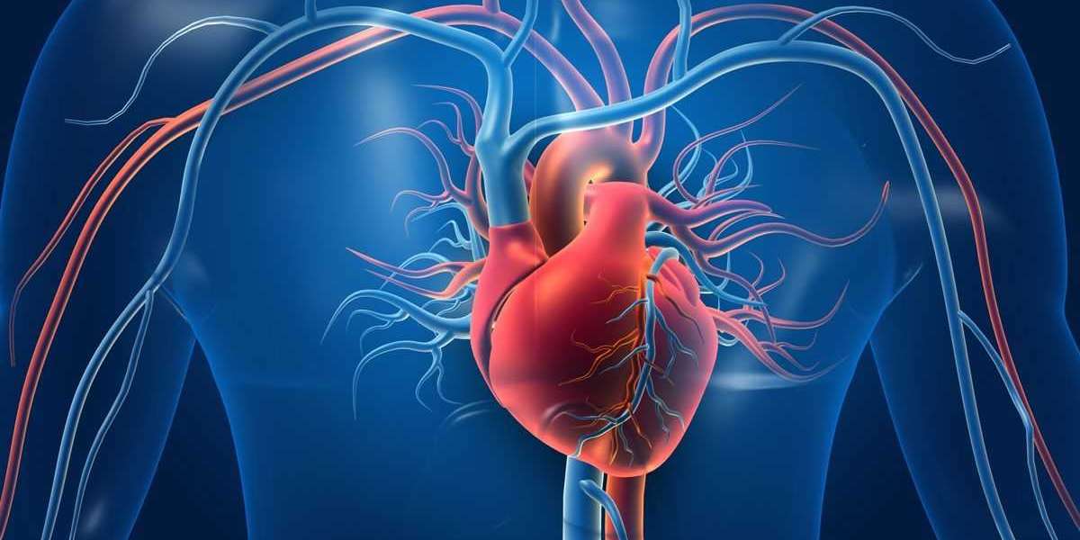 Coronary Heart Disease Market Report 2024-2034 | Industry Size, Growth and Latest Insights
