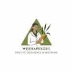 weshape soul Profile Picture
