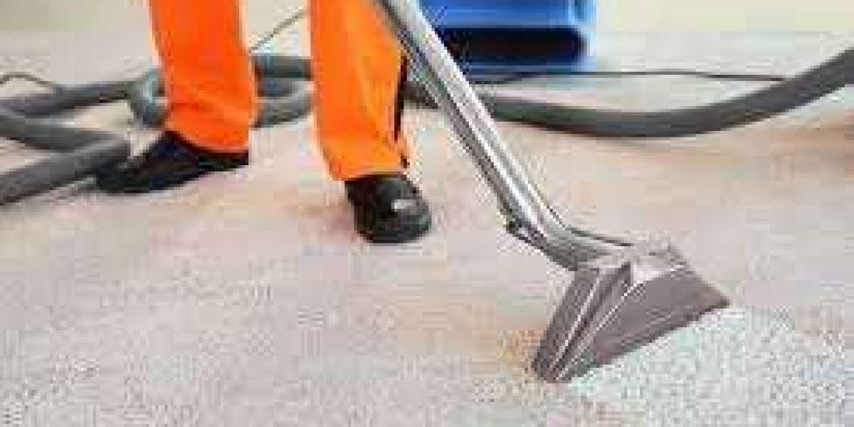 Refresh Your Space: Professional Carpet Cleaning Benefits