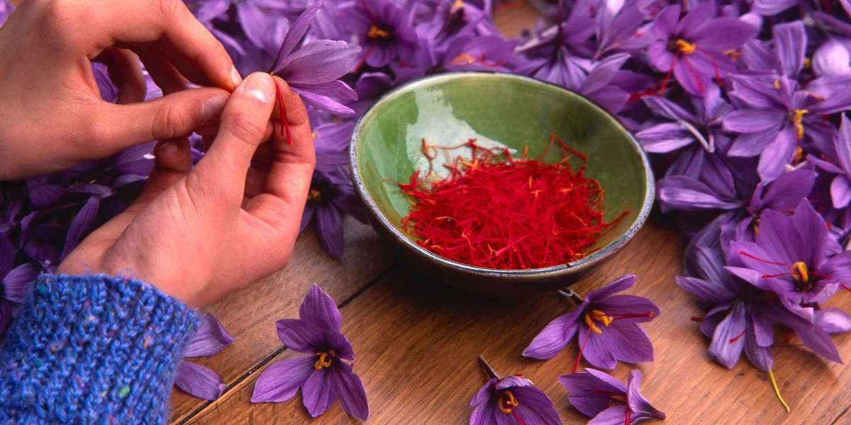 What Health Benefits Can Saffron Offer Your Men’s health?