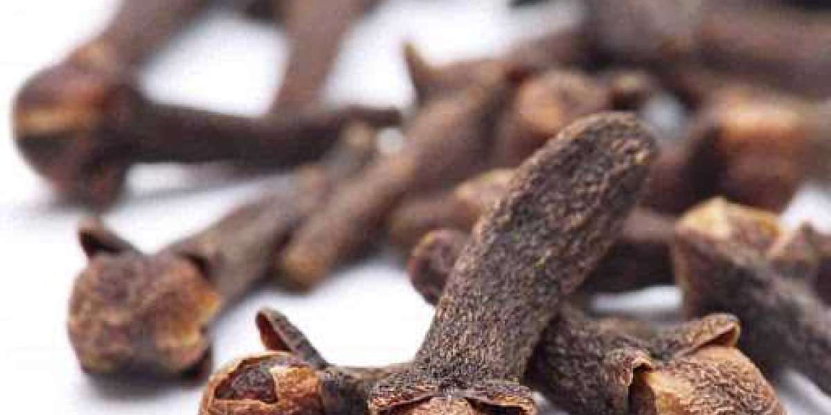 Clove Processing Project Report 2024: Business Plan, Plant Setup, Cost and Requirements – Syndicated Analytics