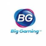 BG Casino Online Profile Picture
