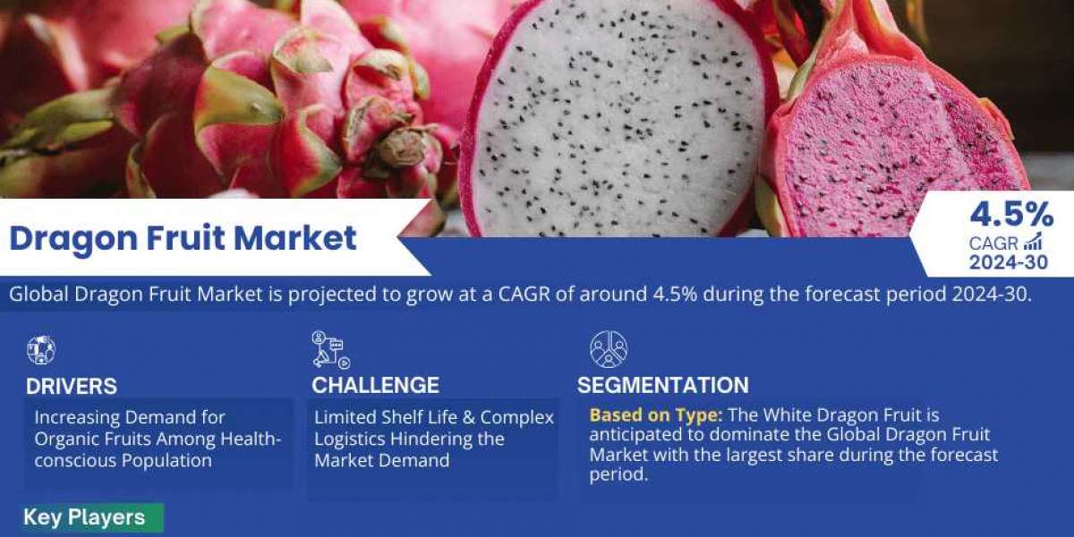 Dragon Fruit Market Expects CAGR Growth to Approx. 4.5% by 2030 As Revealed in New Report