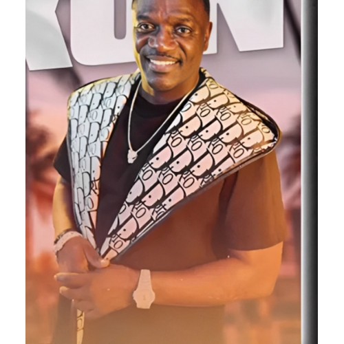 Akon Dior Vest | 35% OFF