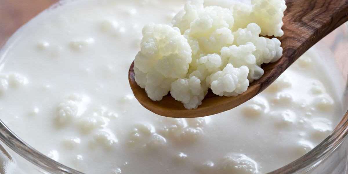 Kefir Market Dynamics: Trends, Challenges, and Opportunities