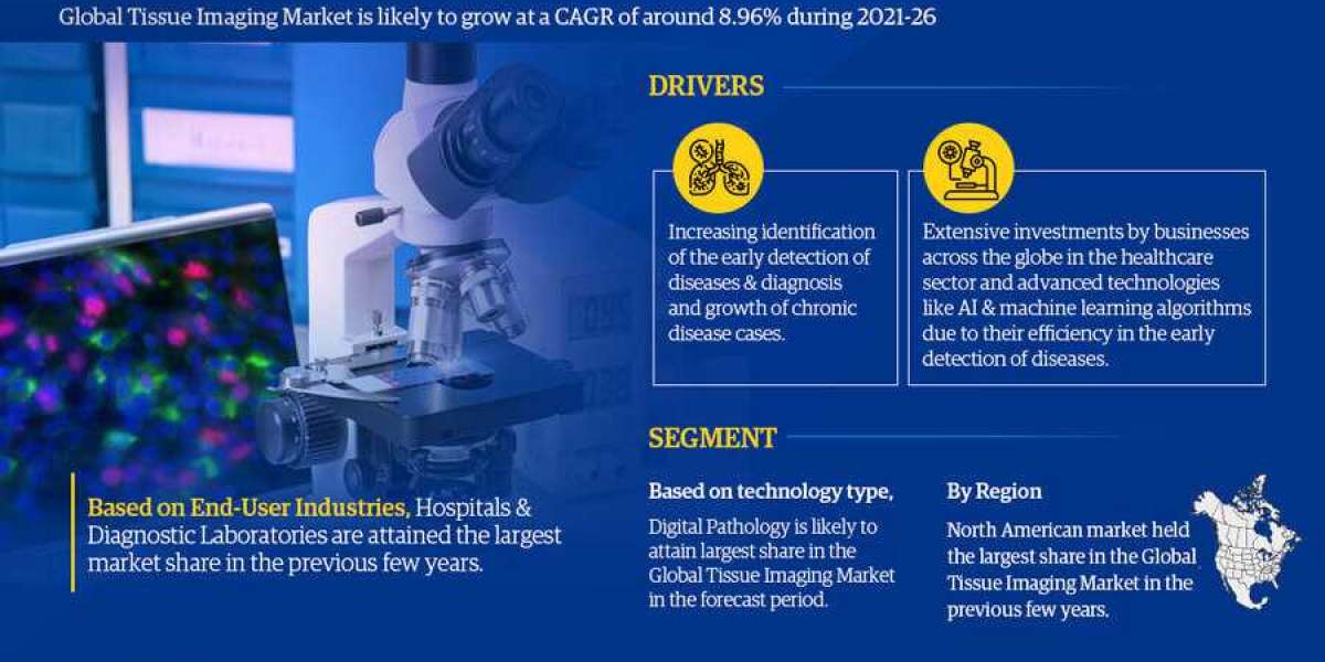 Tissue Imaging Market Overview, Industry Top Players, Size, Growth Rate by 2026