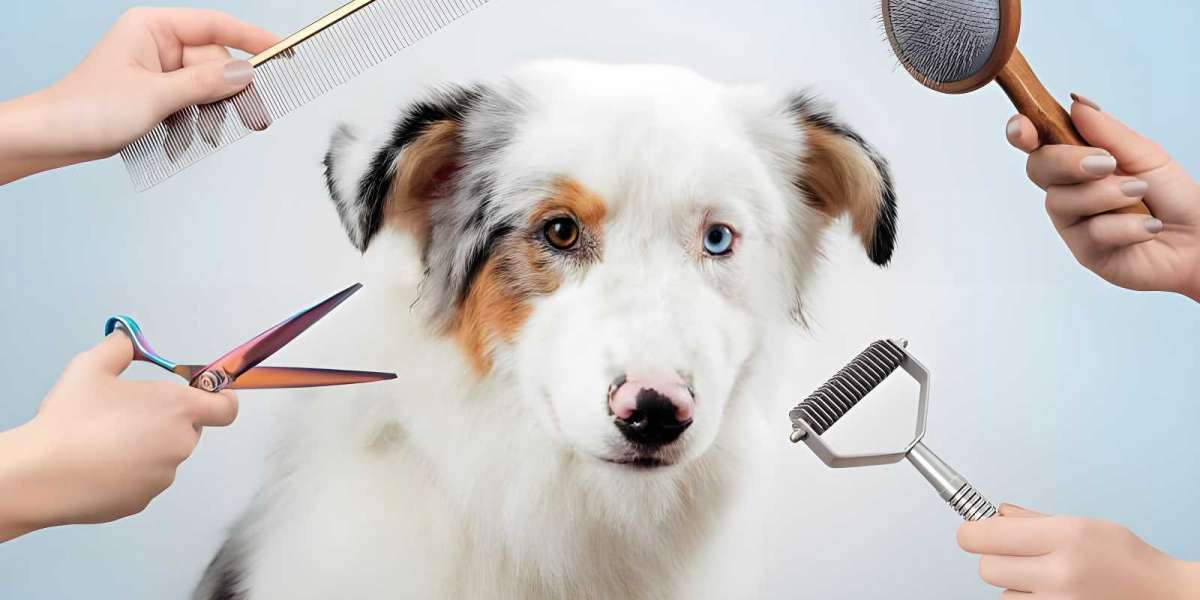 Top Grooming Products for Your Dog: A Step-by-Step Guide for 2024
