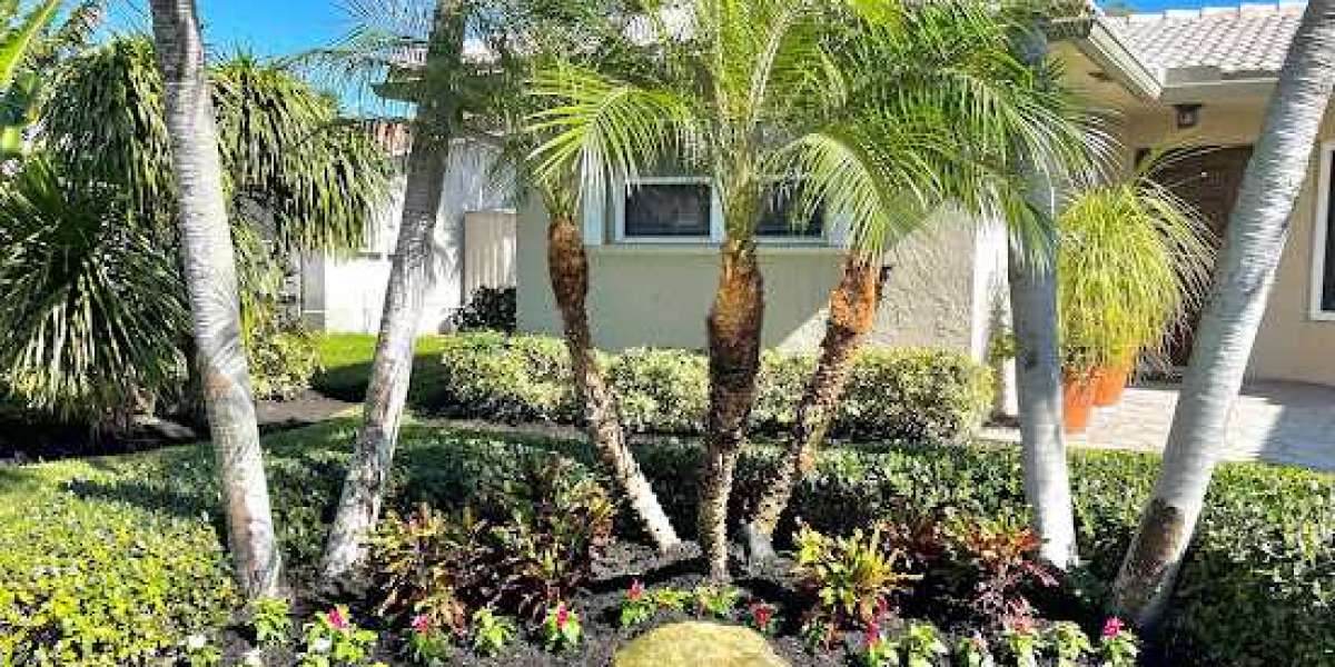 Transforming Your Outdoors EPR Landscaping & Lawn Maintenance in Broward
