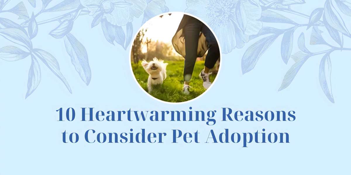 10 Heartwarming Reasons to Consider Pet Adoption