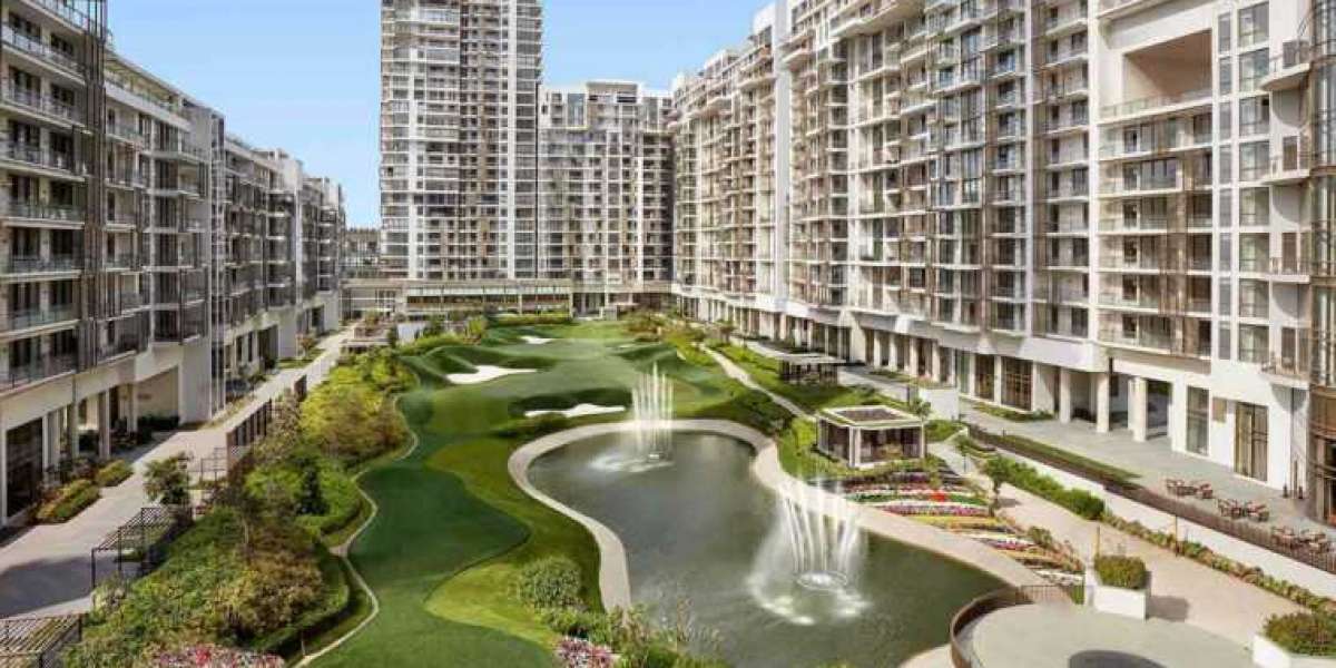 Discovering M3M Capital Sector 113’s Best Kept Secret in Gurgaon