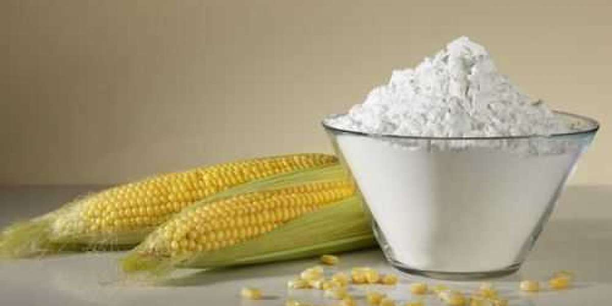 Maize Starch Manufacturing Plant Project Report 2024: Materials Cost, Setup Details and Requirements
