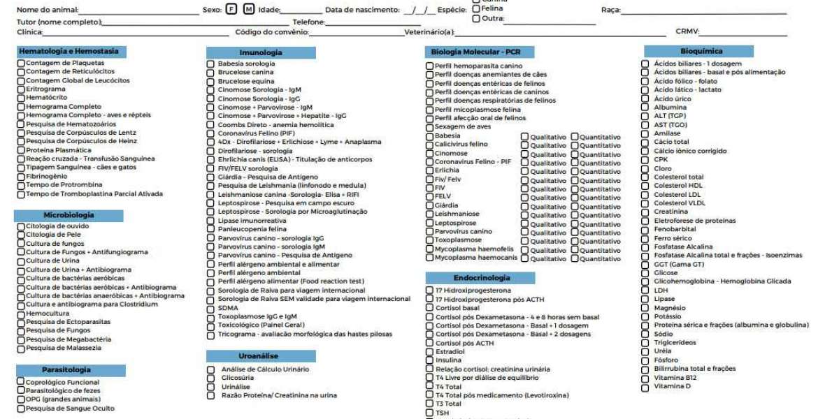 Desvendando a Função Hepática em Cães: Sinais de Saúde e Cuidados Essenciais