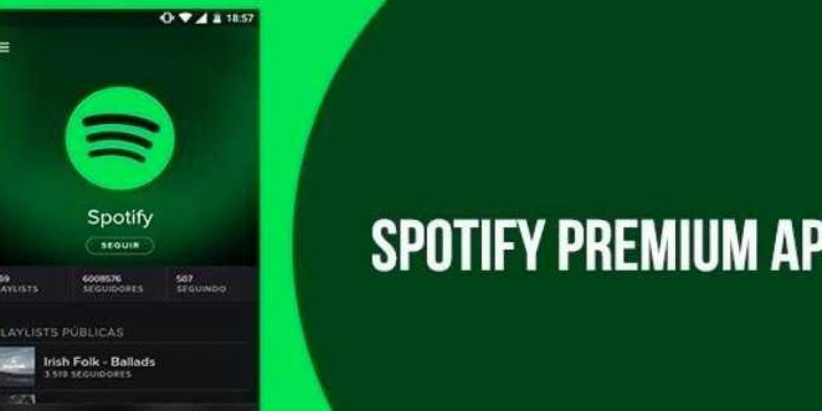 Troubleshooting Common Issues with Spotify Mod APK