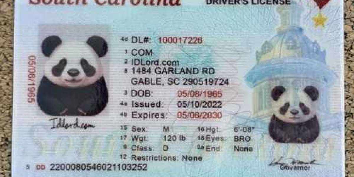 Get the Best Fake IDs for Roblox from IDLord: The Ultimate Guide for Gamers