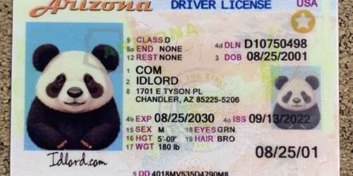 Unlock the Secrets: Your Guide to Navigating Fake IDs in Arizona