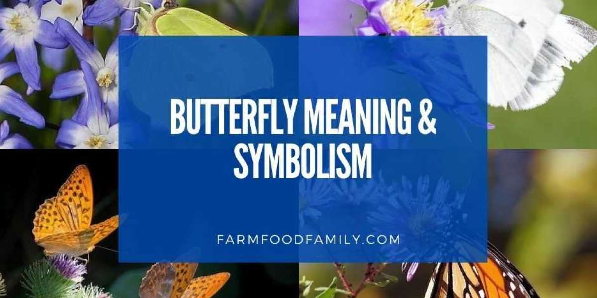 Butterfly Spiritual Meaning: Symbolism of animals