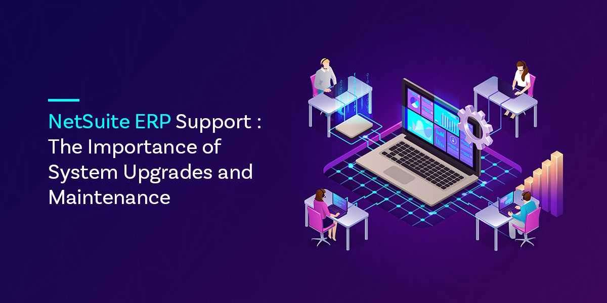 Optimizing Business Efficiency with OpenTeQ's Comprehensive NetSuite ERP Support