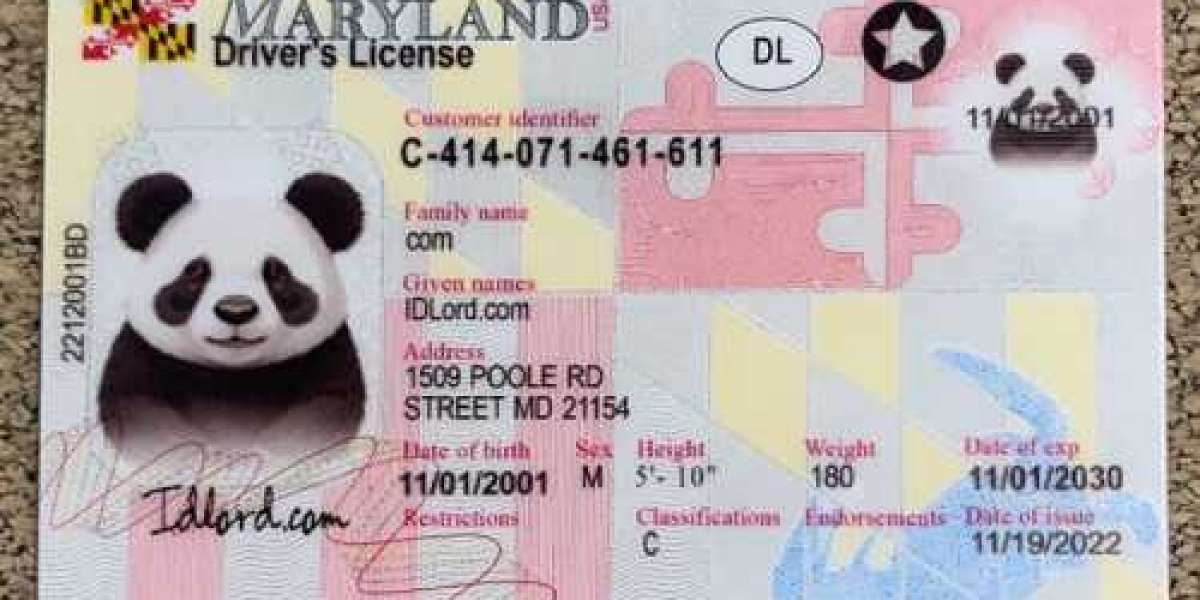 Creating a Unique Maryland Driver's License: A Comprehensive Guide