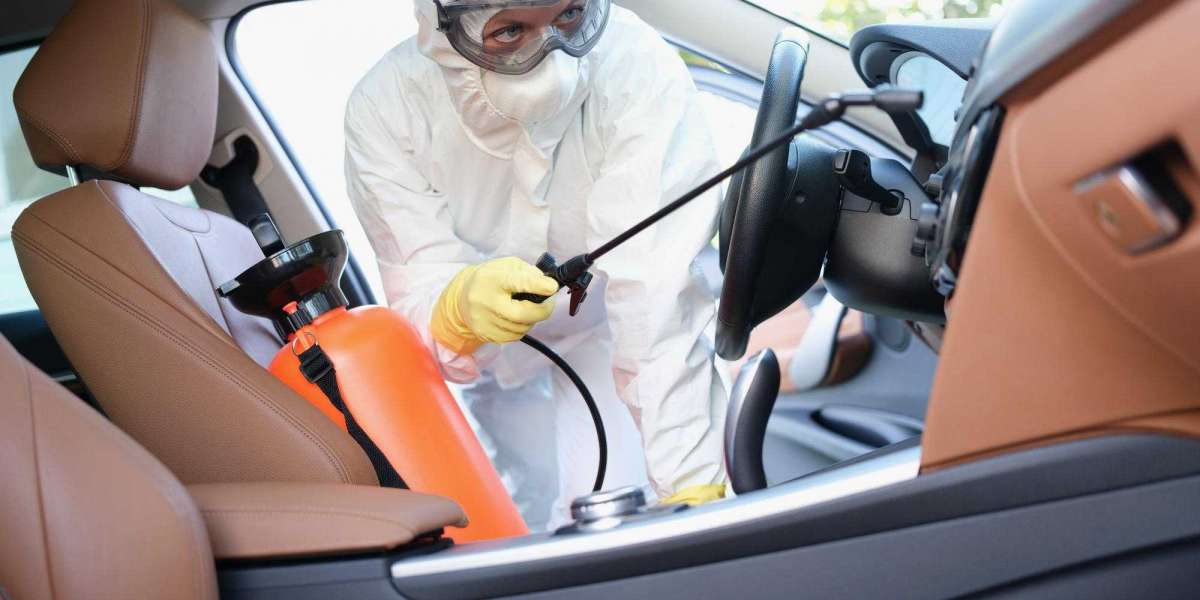 Effective Car Pest Control Solutions in Melbourne