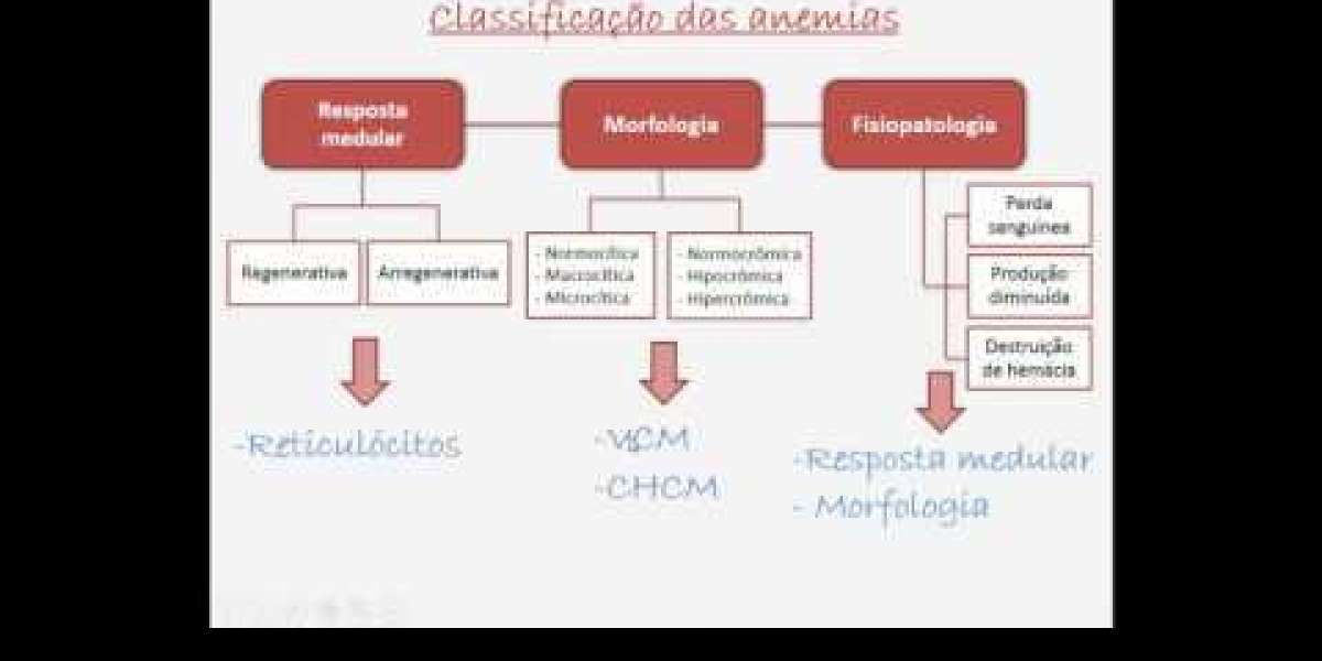 Explorando os 80 Caminhos da Medicina Veterinária: Uma Jornada Pelas Diversas Especialidades da Profissão