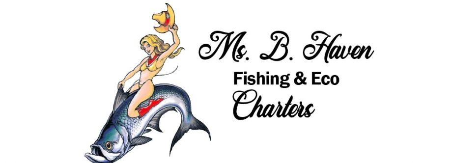 Ms B Haven Fishing and Eco Charters Cover Image