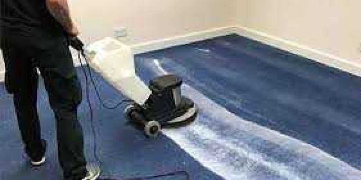 How Expert Carpet Cleaning Improves Home Comfort and Wellness